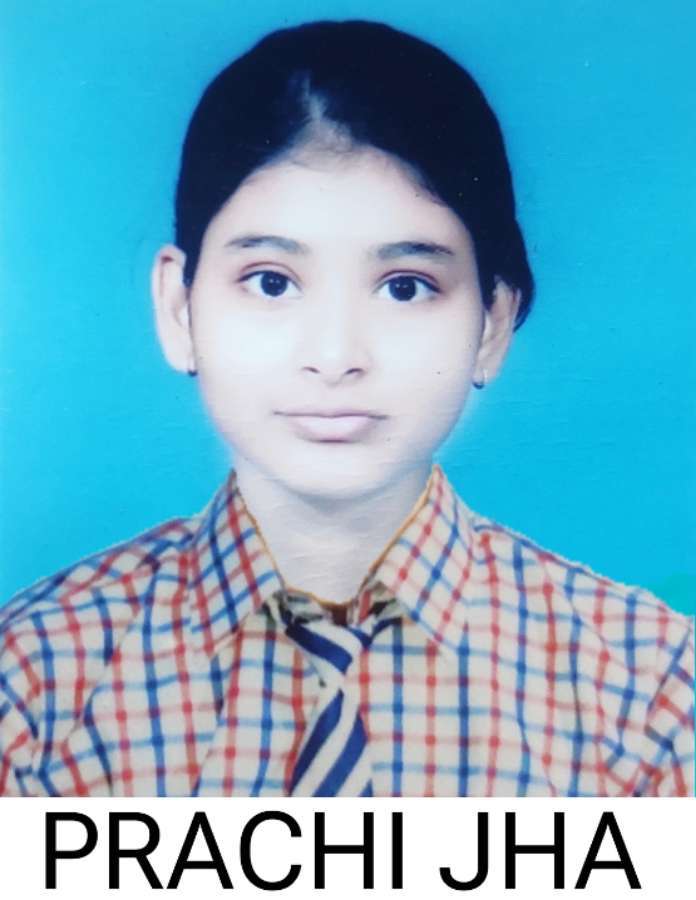 best school in punaichak