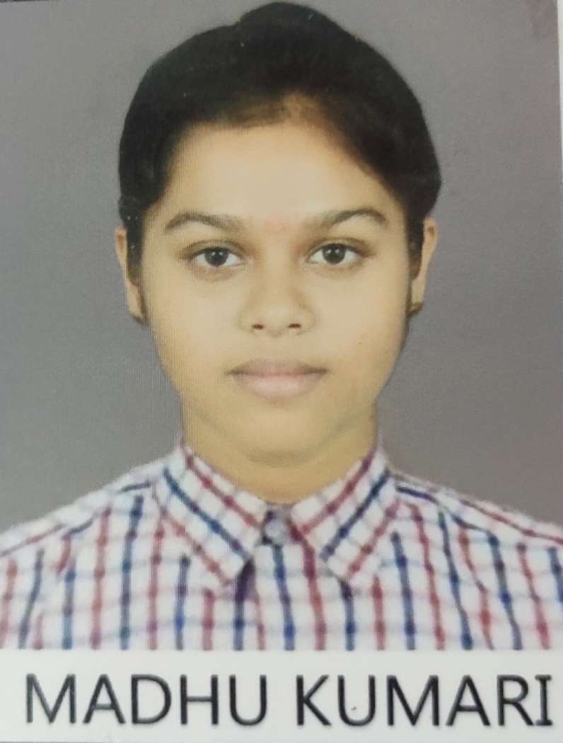 best school in punaichak